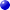 丸